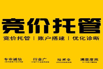 百度推广的广告投放策略案例